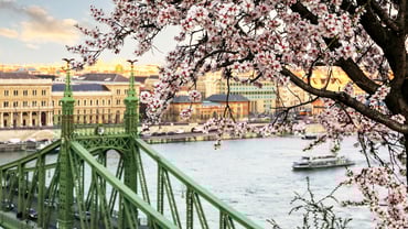 EH BUD_Vertical_16by9_Liberty-Bridge_in_Spring_High Res_22746_Dora Sajo Photography.jpg