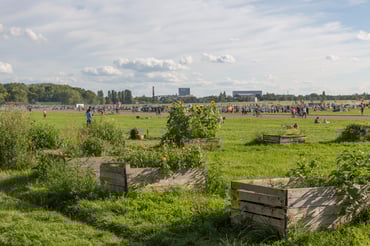 Tempelhofer Feld.jpg