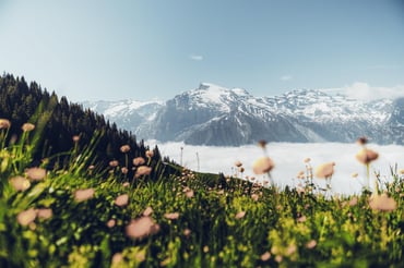 Kempinski Palace Engelberg - Miscellaneous