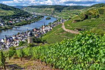Mosel area