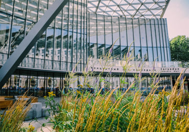 Hotel Baltschug Kempinski Moscow - Local attraction