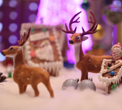 Kempinski Hotel Xiamen China - Lobby