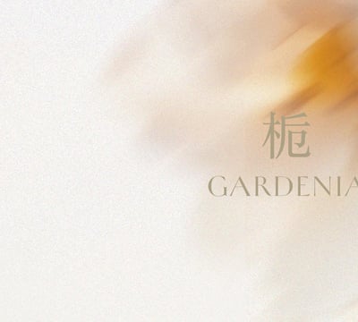 Grand Kempinski Hotel Shanghai - Spa