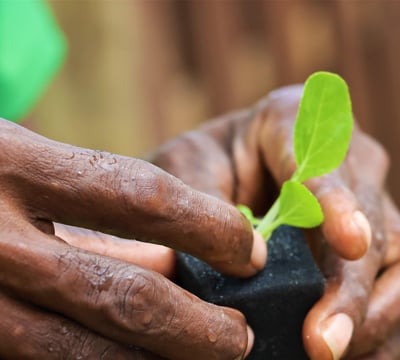 Sustainability