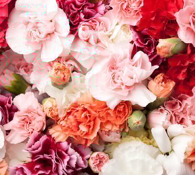 FlowerBouquetCloseUp.jpg