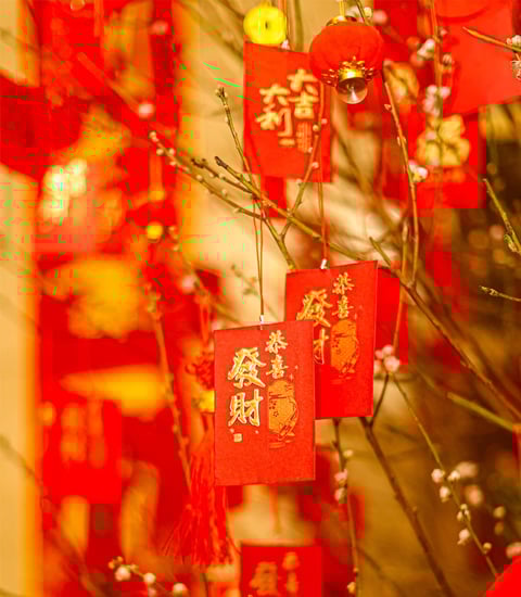 The One Executive Suites managed by Kempinski - Shanghai - Hot news