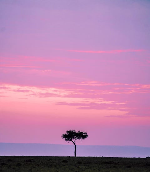 Olare Mara Kempinski, Masai Mara - Miscellaneous