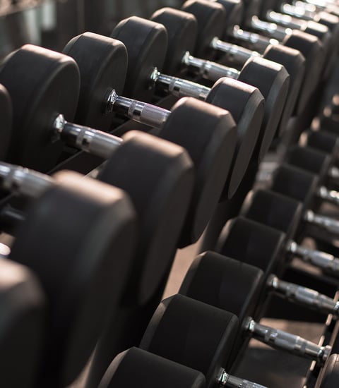 Spa_Dumbbells_960x1100px.jpg