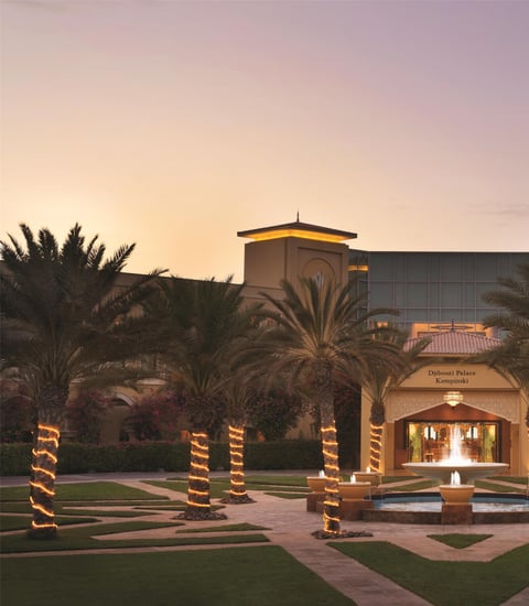 Djibouti Kempinski Palace - Basics