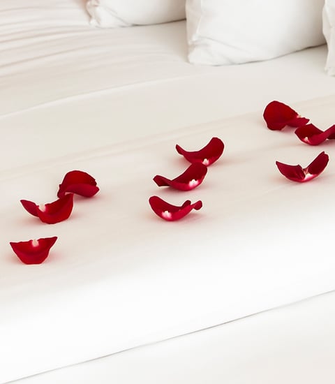 RomanticSetup_1920x1080px.jpg