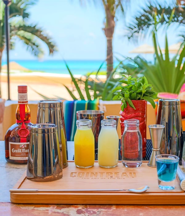 A close-up of the fresh ingredients used to make a margarita during the oceanfront mixology experience.