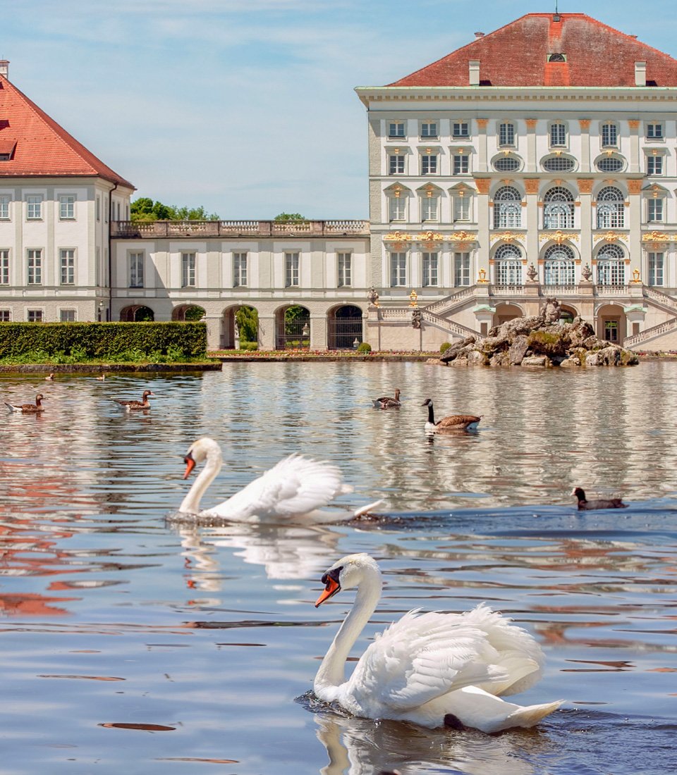 MUC3_Portrait_0005_Nymphenburg_Swans.jpg
