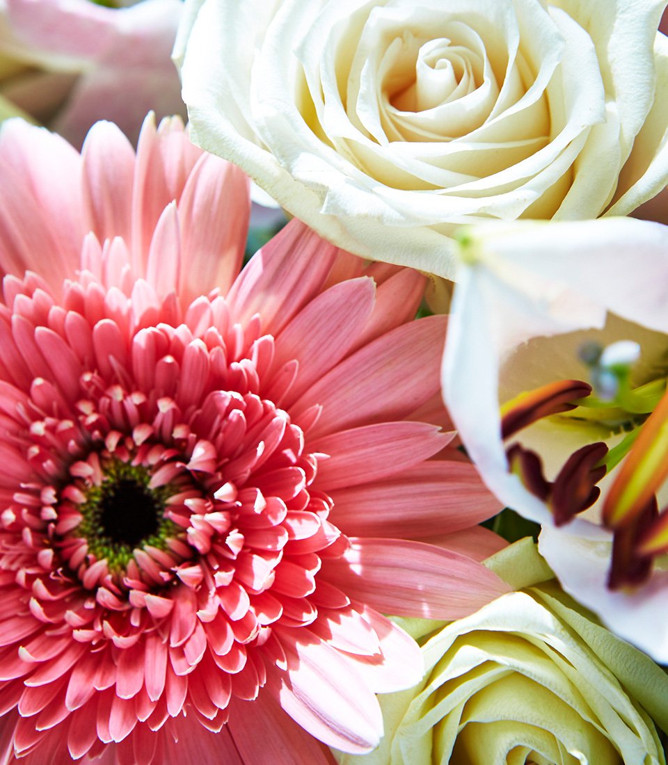 Flowers_02_960x1100px.jpg