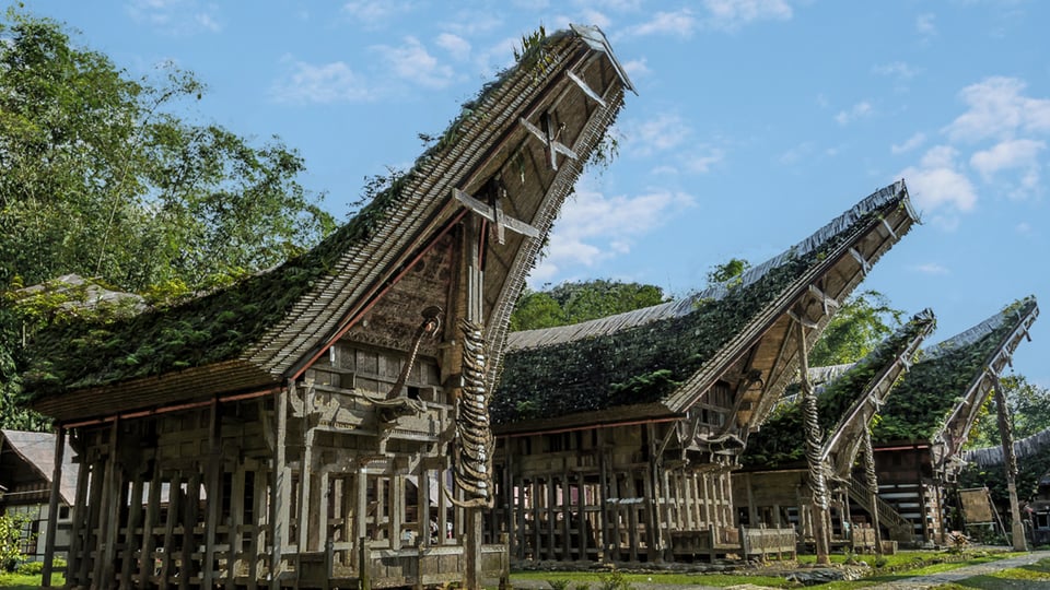 Unity in Diversity_Rumah Tongkonan_Sulawesi Traditional Houses 02_Original_30769.jpg