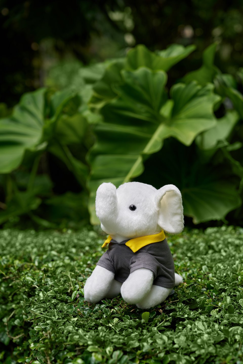 Nong Sindhorn 01.jpg