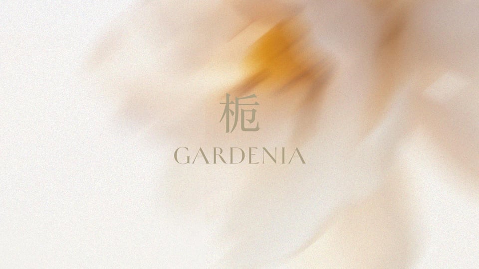 Grand Kempinski Hotel Shanghai - Spa