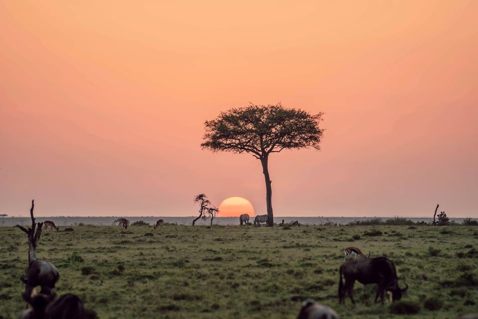 Carlin Meyer Influencer_High Res_33753.jpg