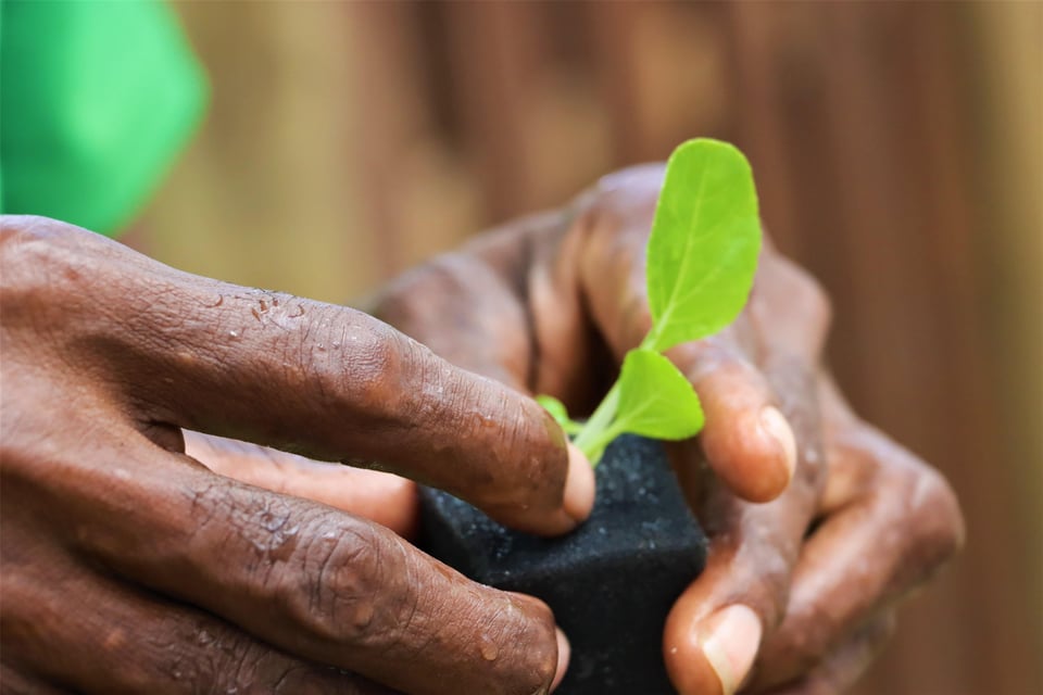 Sustainability